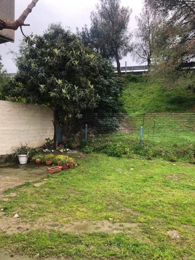 Chrysa'S House Apartment 艾伊翁 外观 照片