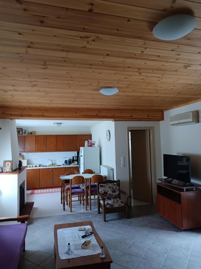 Chrysa'S House Apartment 艾伊翁 外观 照片