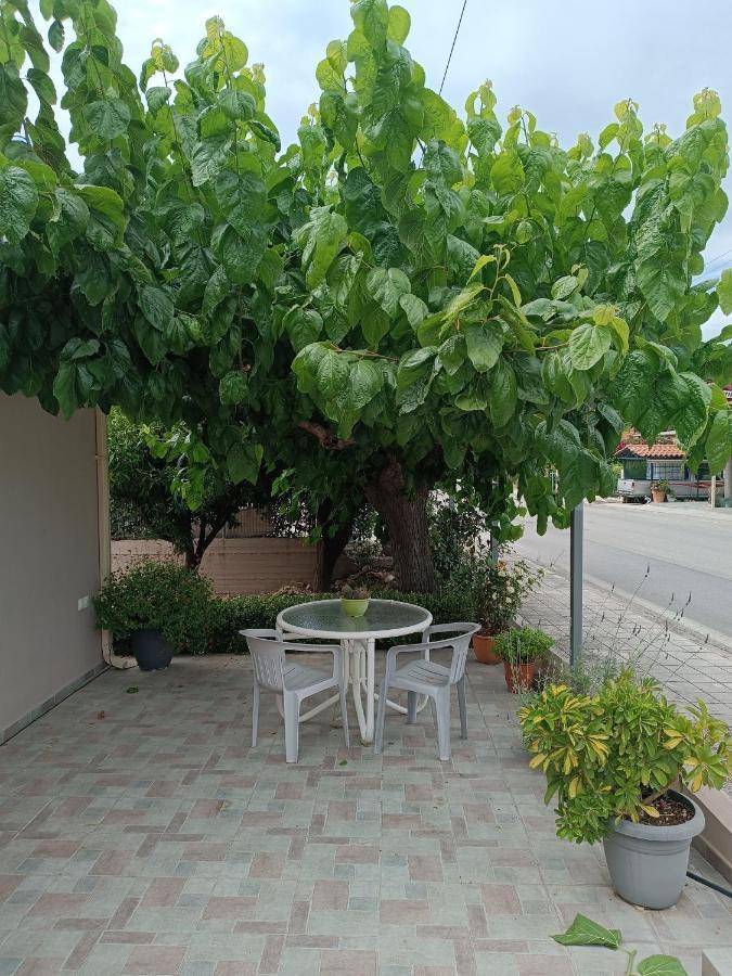 Chrysa'S House Apartment 艾伊翁 外观 照片