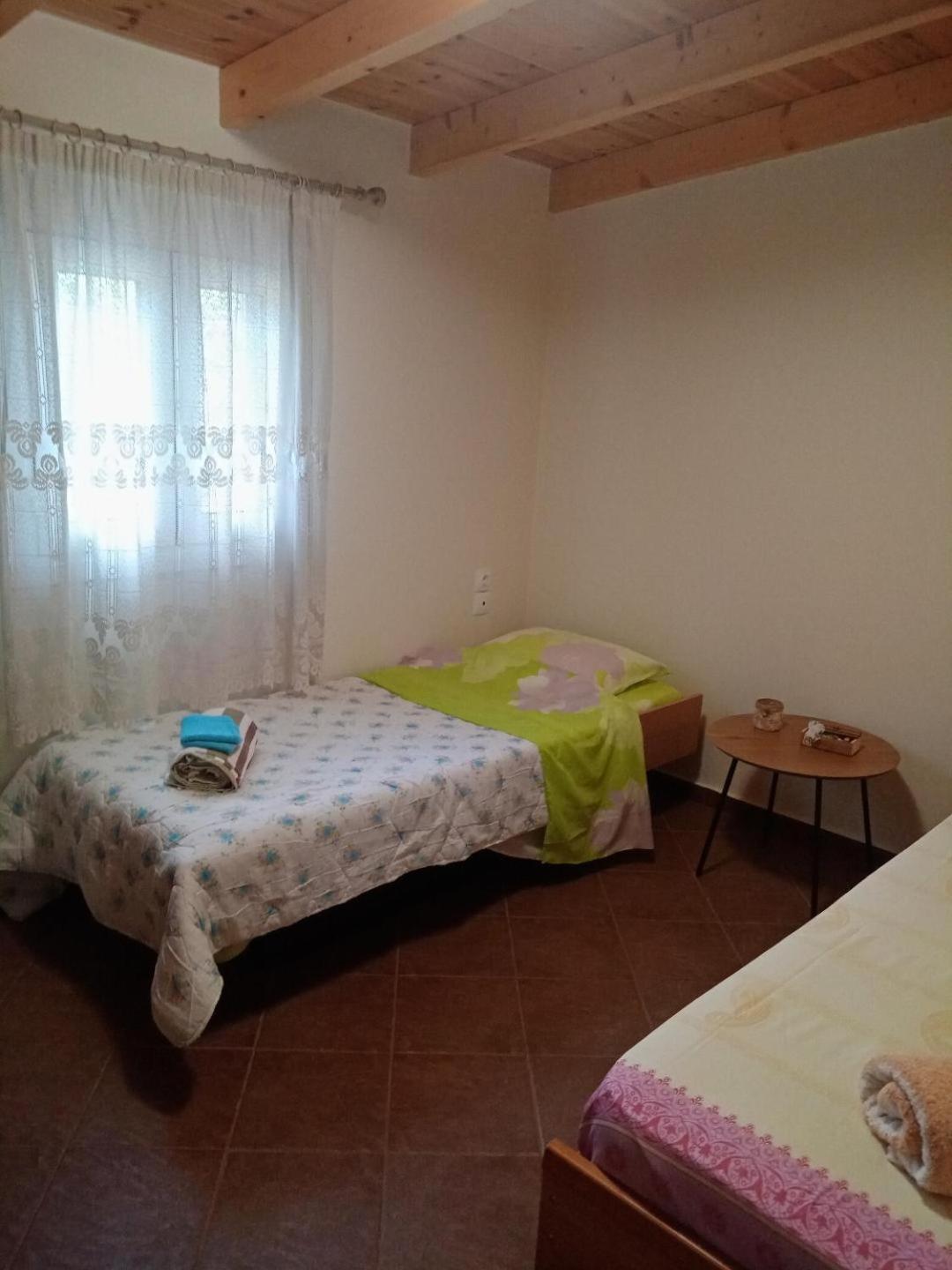 Chrysa'S House Apartment 艾伊翁 外观 照片